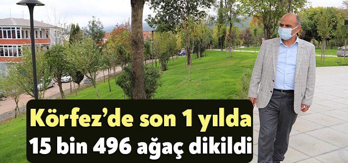 Körfez Belediyesi son 1 yılda 15 bin 496 ağacı toprakla