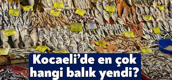 Denizlerin soğumasıyla birlikte en lezzetli balık türü, kilosu 25 TL'den