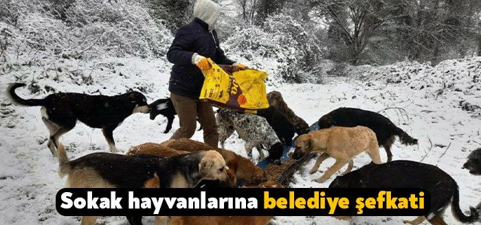 Kartepe Belediyesi ekipleri beklenen kar yağışı sonrasında ilçenin belirli noktalarında