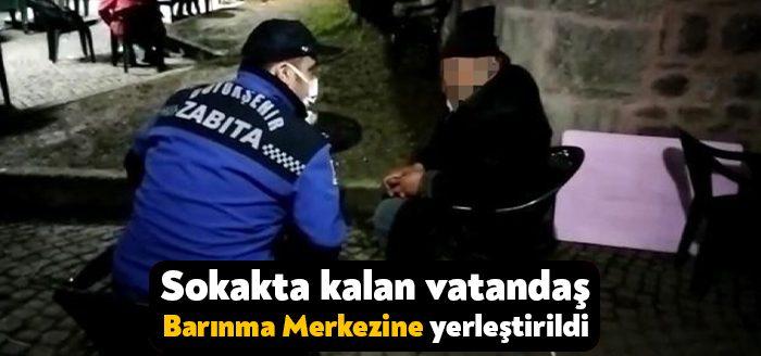 Kocaeli Büyükşehir Belediyesi Zabıta ekipleri, denetimler sırasında sokakta kalan bir