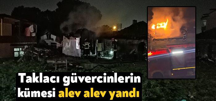 Kocaeli'de taklacı güvercinlerin beslendiği boş baraka alev alev yandı. İtfaiye