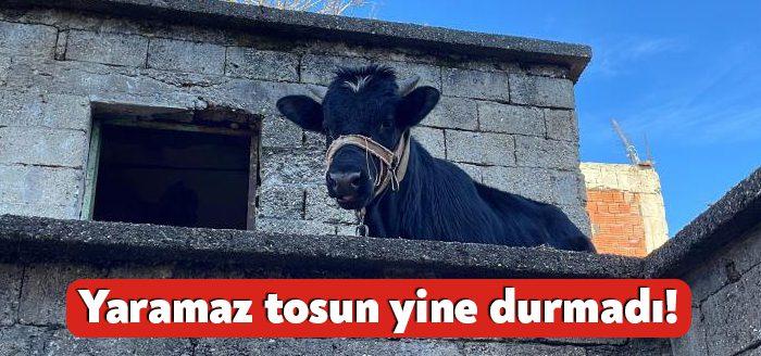 Kocaeli'de yılbaşı gecesi çıktığı iki katlı kulübenin balkonunda mahsur kalan