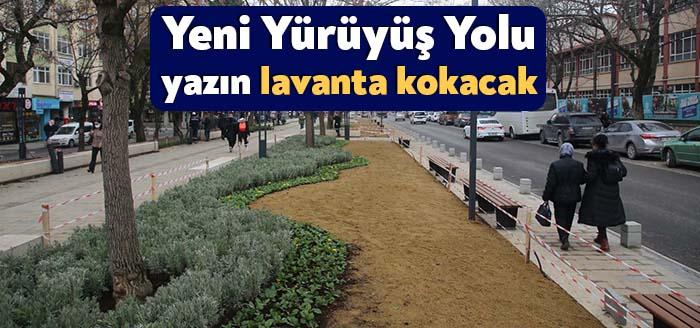 Büyükşehir ekipleri, Yeni Yürüyüş Yolunu mevsimlik çiçeklerle süslüyor. Lavantaların açacağı