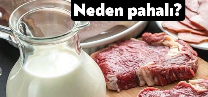 Toprak Mahsulleri Ofisi (TMO) arpayı, et ve süt üreticilerine satarsa