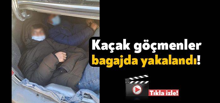 Kocaeli'de polis ekiplerince yapılan operasyonla 22 kaçak göçmen yakalandı. Göçmenlerden