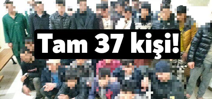 Kocaeli'nin Körfez ilçesinde bulunan hurda atık geri dönüşüm iş yerlerinde,