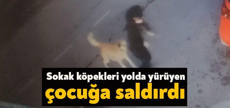 Kocaeli’nin Gölcük ilçesinde yolda yürüyen 15 yaşındaki çocuğa, 5 tane
