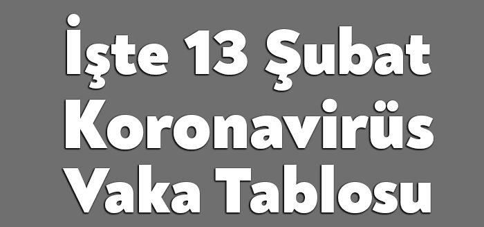 Sağlık Bakanlığı'nın açıkladığı 13 Şubat 2022 Pazar gününün corona virüsü