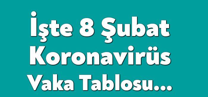 Sağlık Bakanlığı'nın açıkladığı güncel corona virüsü verilerine göre, 241 kişi