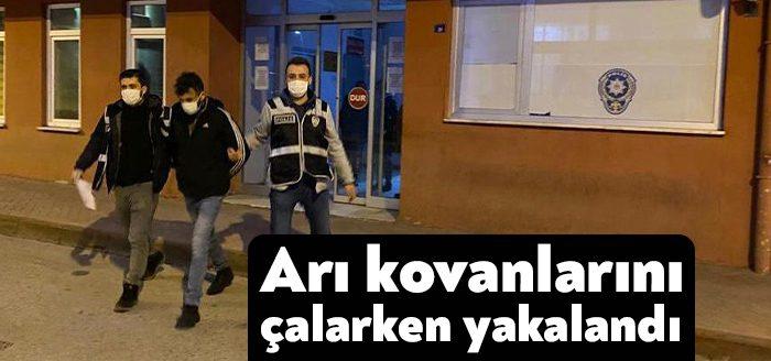 Karamürsel’de meydana olayda 15 arı kovanı ve 15 demir boruyu