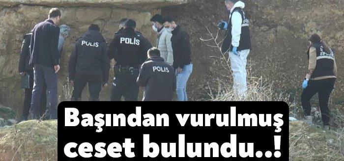 Kocaeli’nin Darıca ilçesindeki hayvan pazarında, kayalığın dibinde başından vurulmuş bir