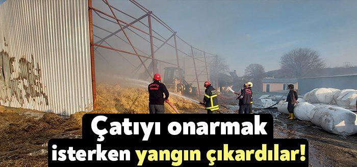 Kocaeli’de bir besi çiftliği çalışanları çatıyı onarmak için taş motoru