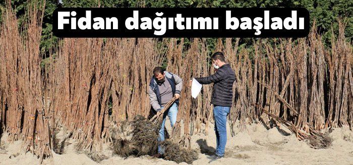 Büyükşehir’in “Meyveciliği Geliştirme Projesi” kapsamında, 428 çiftçiye % 50 hibeli