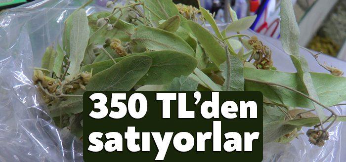 Soğuk havaların vazgeçilmezi ıhlamur çeşitlerinin kilosu, aktarlarda 300 ile 350