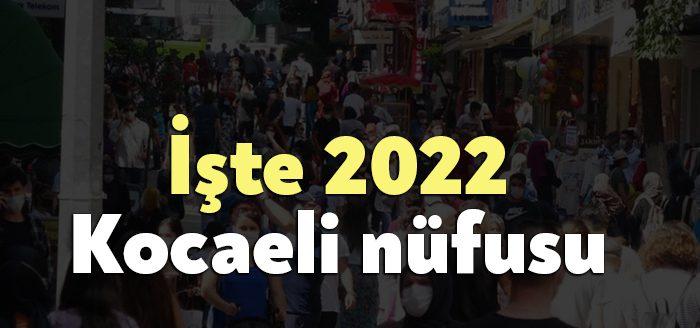 TÜİK resmi internet sitesine göre Türkiye'de ikamet eden nüfus, bir