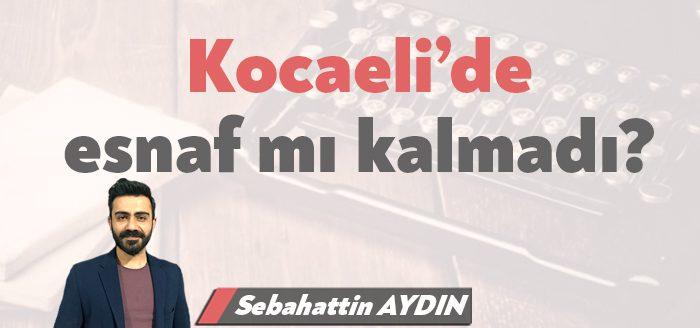 Körfez Belediye Meclisi CHP Meclis Üyesi Erkan Uygun, birtakım iddiların