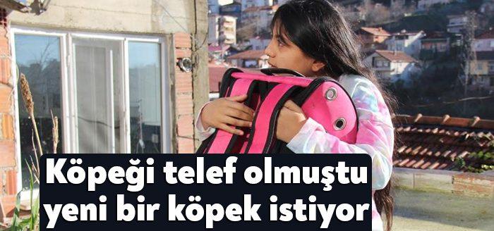 Kocaeli'nin İzmit ilçesinde evinde çıkan yangında 2 köpeğini kaybeden 11