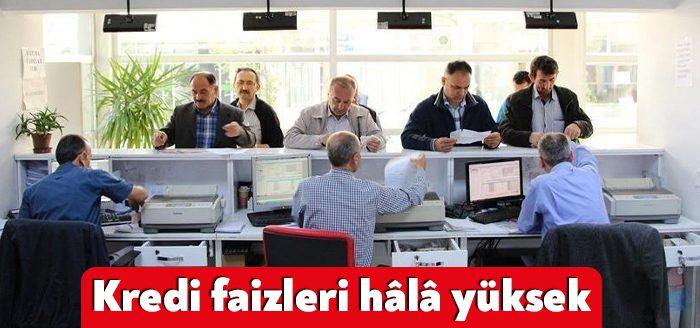 Hükümetin 'düşük faiz' söylemlerine ve Merkez Bankası'nın politika faizinde yaptığı