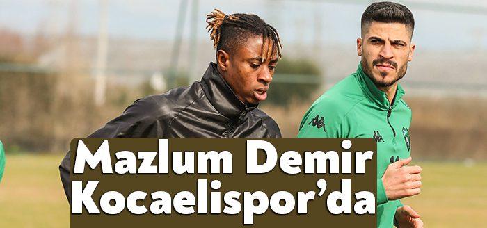 Kocaelispor, en son Menemenspor forması giyen 30 yaşındaki Mazlum Demir’i