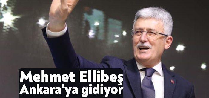 AK Parti Genel Başkanı ve Cumhurbaşkanı Recep Tayyip Erdoğan, 81