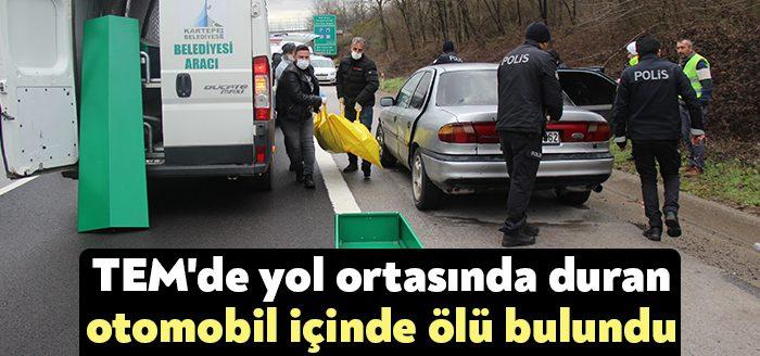 Kocaeli TEM Otoyolunda bir kişi, yolun ortasında duran ve tehlike
