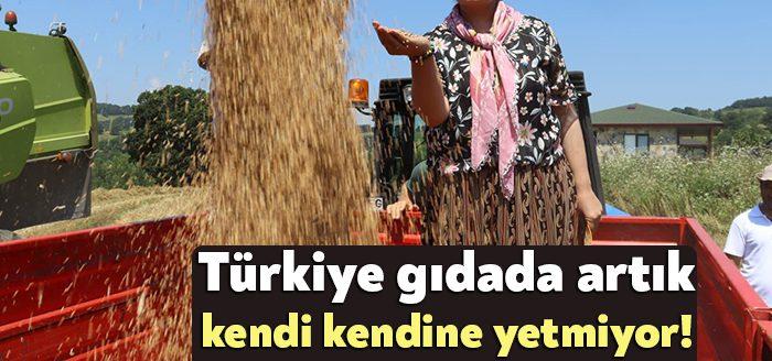 Rusya ile Ukrayna savaşırsa Türkiye’de ekmek daha da pahalanacak. Çünkü