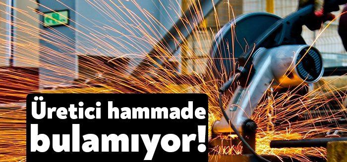 Ocak ayında yıllık Üretici Fiyatları Endeksi'nin yüzde 93,53'e yükselmesi ve