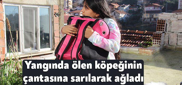 Kocaeli’de bir evde çıkan yangından etkilenen güvercinleri kurtarmaya çalışan itfaiye