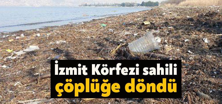 İzmit Körfezi doğu sahilinin, iş makinesi lastiklerinden evsel atıklara kadar