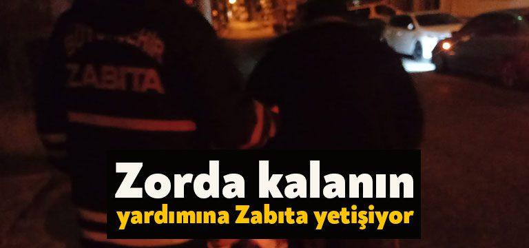 Kocaeli Büyükşehir Belediyesi Zabıta ekipleri, görev alanlarında zor durumda kalan