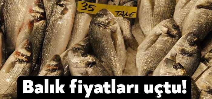 Marmara’da etkili olan soğuk hava ve karlı hava balıkçı tezgahlarını