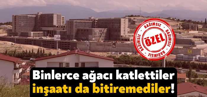 Kocaeli’nin İzmit ilçesindeki cephanelik bölgesi olarak bilinen eski askeri alan