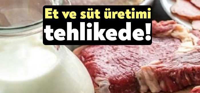 Rusya-Ukrayna savaşı başta temel gıda olmak üzere tüm sektörleri teker