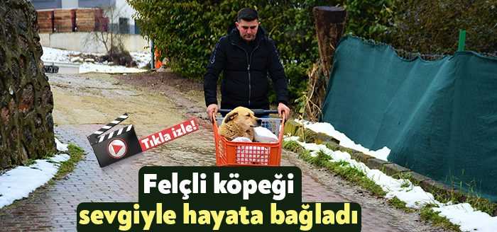 Kocaeli'de yaşayan hayvansever Ömer Ayhan, ormanda yaralı halde bulduğu sokak