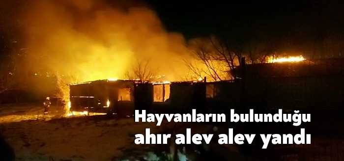 Kocaeli’nin Gebze ilçesinde hayvanların bulunduğu ahır alev alev yandı.