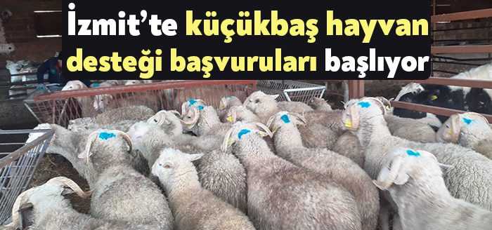 İzmit Belediyesinin kırsal kalkınma adına her köyden iki çiftçiye yüzde