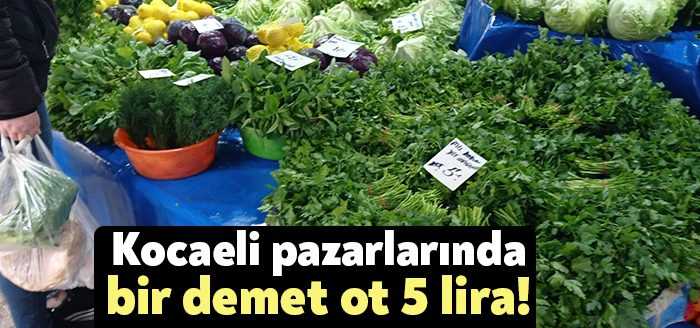 Kocaeli’de kurulan pazarlarda maydanoz, tere, dereotu gibi bitkilerin demeti en