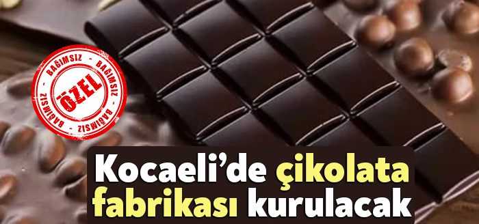 Sanayi ve Teknoloji Bakanlığı şubat ayı yatırım teşvik belgesi başvurularında