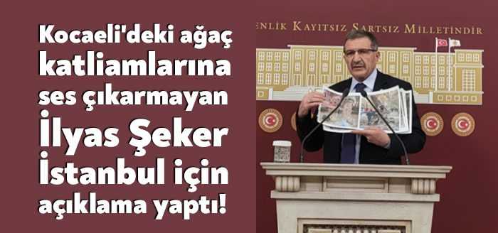 Kimi zaman yol yapım çalışmaları için Ballıkayalar gibi büyük ağaçlık