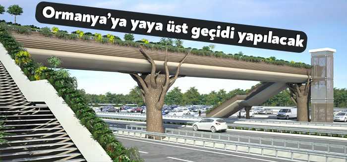 Büyükşehir tarafından Kartepe’de bulunan doğal yaşam parkı Ormanya’ya yayaların güvenli