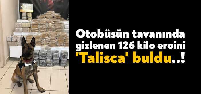 Kocaeli’de bir yolcu otobüsüne düzenlenen operasyonda narkotik köpeği 'Talisca' ile