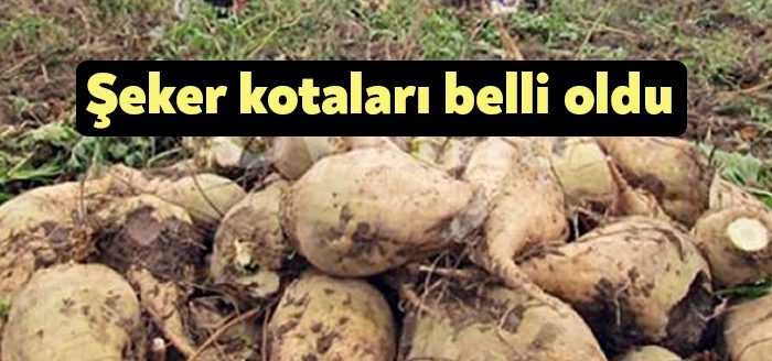 Türkiye şeker sektöründe 2022/ 2023 pazarlama yılı için ülke toplam