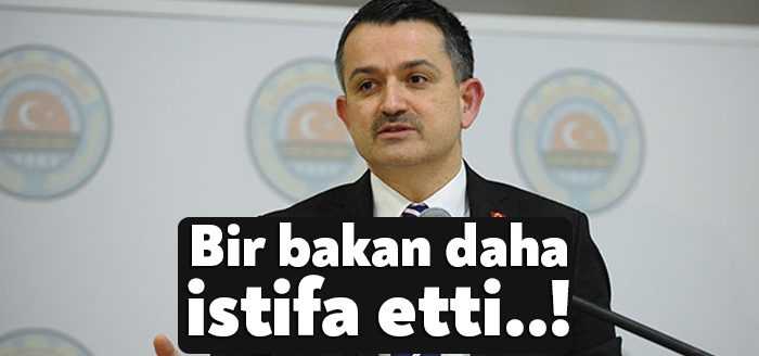 Tarım ve Orman Bakanı Bekir Pakdemirli görevinden istifa etti. Vahit