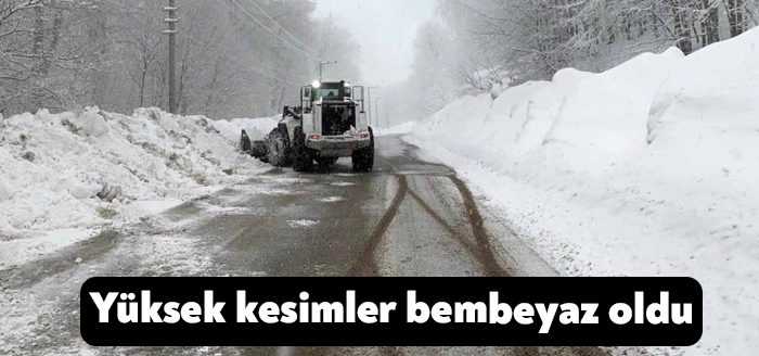 Kocaeli'nin yüksek kesimlerinde kar yağışı etkisini göstermeye başladı.