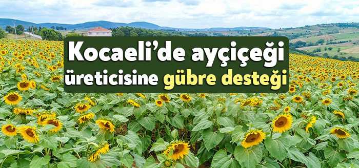 Başkan Büyükakın, çiftçilere verdiği müjdelere bir yenisini ekleyerek, yağlık ayçiçeği