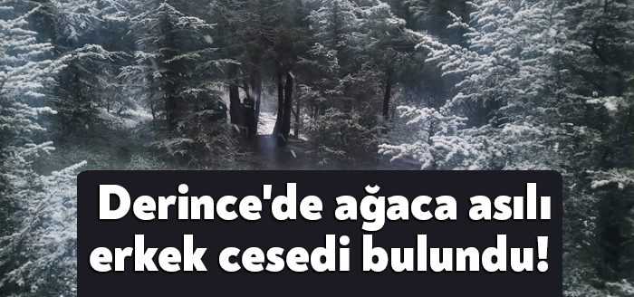 Derince'de çamlık alanda ağaca asılı halde erkek cesedi bulundu. Olay