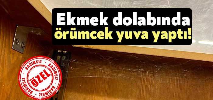 Kocaeli Başiskele Barbaros Mahallesi Saat Kulesi mevkiinde bulunan Şok Market’in