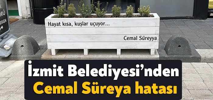 İzmit Belediyesi sorumluluk alanında bulunan Rauf Orbay Sokak’ta çiçeklerin üzerine
