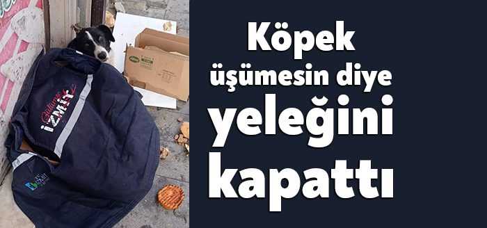 İzmit’te bir sokak köpeği üşümesin diye yeleğini üstüne örten İzmit