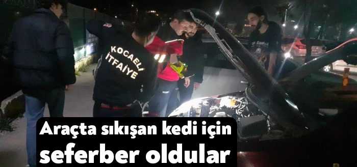 Kocaeli'nin Darıca ilçesinde, otomobilin motor kısmına sıkışan yavru kedi, İtfaiye
